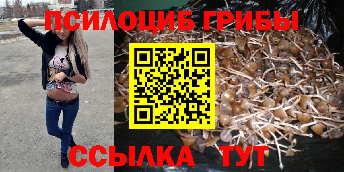 Псилоцибиновые грибы мицелий Чебоксары