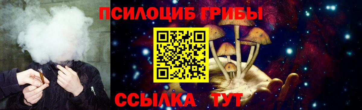 Галлюциногенные грибы Psilocybine cubensis  Галлюциногенные грибы Cubensis  Вход с VPN  Чебоксары 